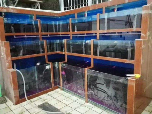 海鲜池
