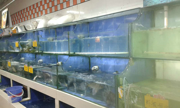 海鲜池