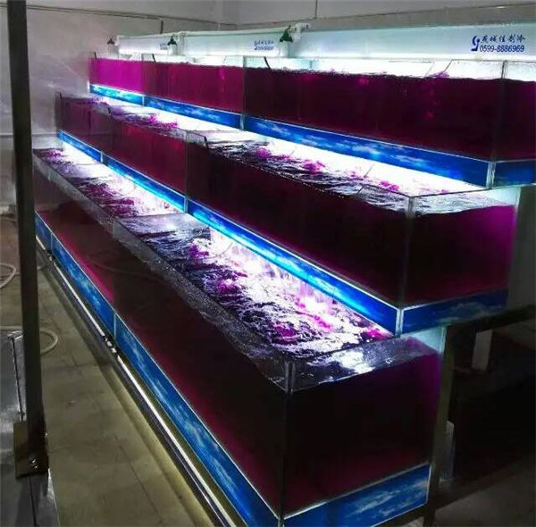 海鲜池