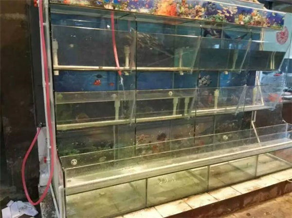 海鲜池