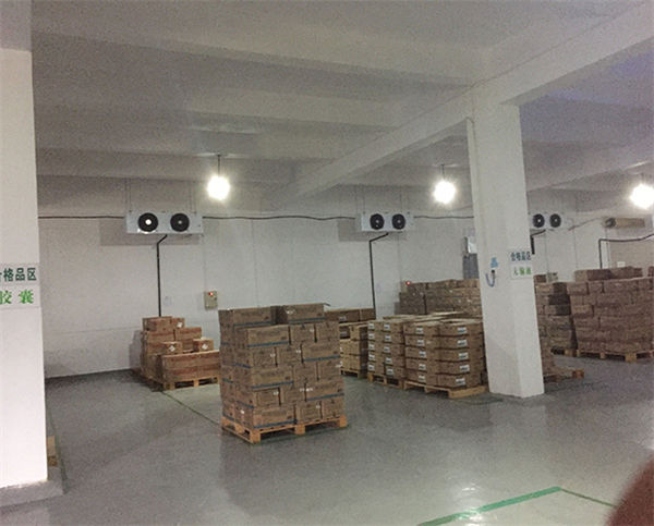医用阴凉库