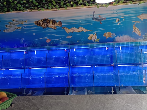 海鲜池